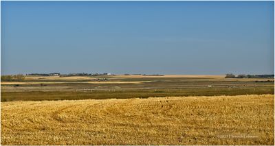 IMG_4169.jpg