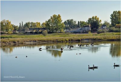IMG_4200-Airdrie.jpg