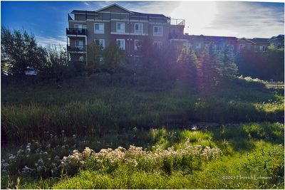IMG_4421-Airdrie.jpg