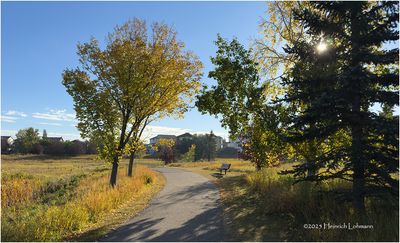 IMG_4618-Airdrie.jpg
