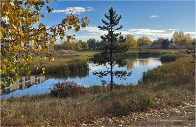 Airdrie, Alberta 2025