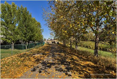IMG_4738-Airdrie.jpg