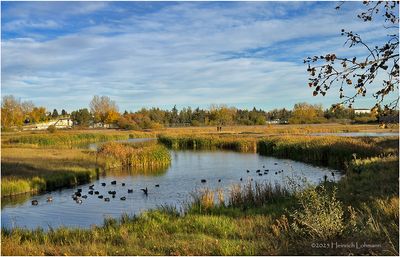 IMG_4802-Airdrie.jpg