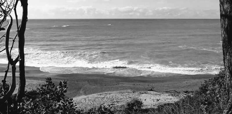 Swirling Waves