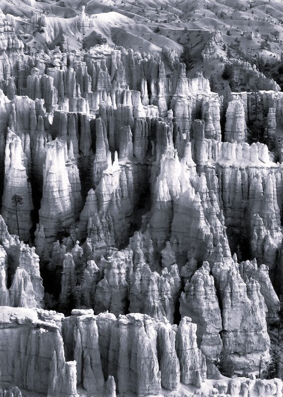 Bryce Hoodoos<br><h4>*Merit*</h4>