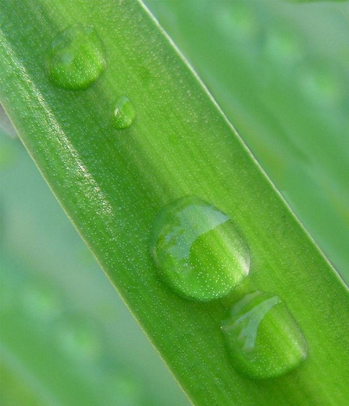 Droplets<br><h4>*Credit*</h4>