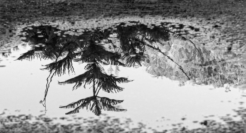 After the Rain has Cleared
