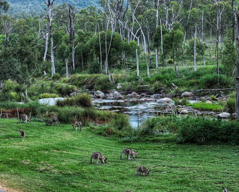 Mann River