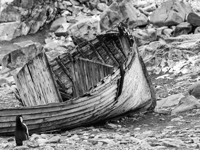 Shipwreck B*Credit*