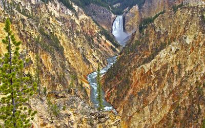 Yellowstone Lower Falls