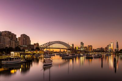Lavender Bay*Merit*