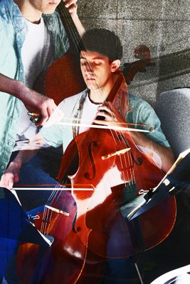 The Celloist*Credit*