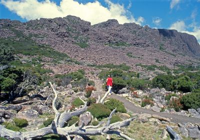 Track to Ben Lomond