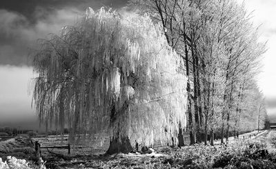 121] Poolburn Hoar Frost