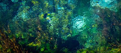 122] At Pupu Springs