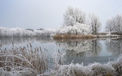 148] Delicate Beauty of Bad Weather