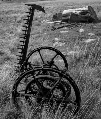 Old Farm Wheels