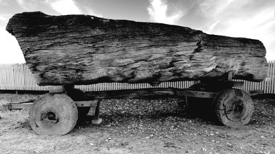 Wooden Wheels