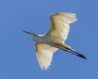 Fly Over*Credit*