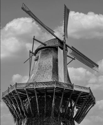 Windmill*Credit*