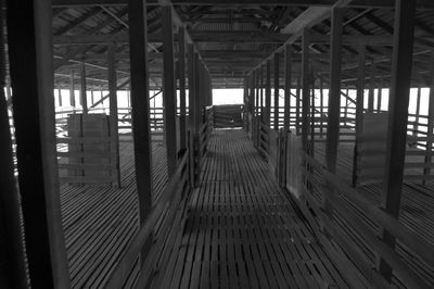 Shearing Shed
