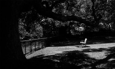 Lonely Setting*Credit*