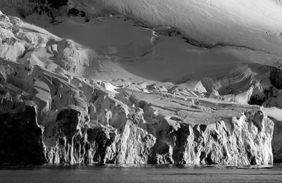The White Continent*Merit*