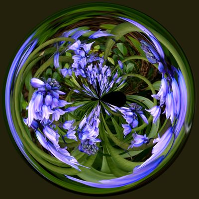 Blue Bells Mirrorball