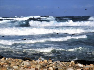 Pounding Surf*Credit*