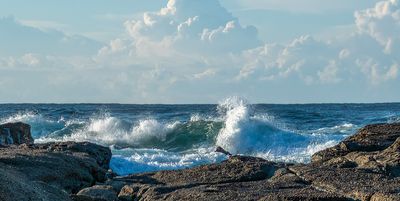 Big Wave