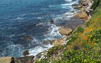 Headland Walk