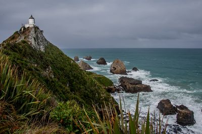 Nugget Point 2*Credit*