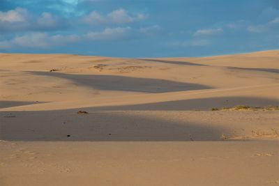 Shadows Over Sand Dunes