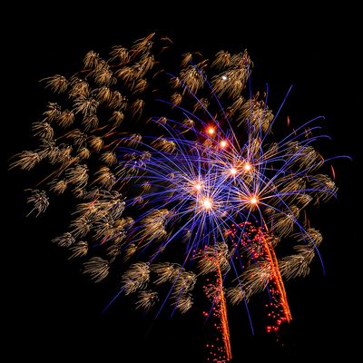 Fireworks*Credit*