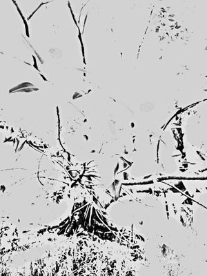 Creating with Cezanne
