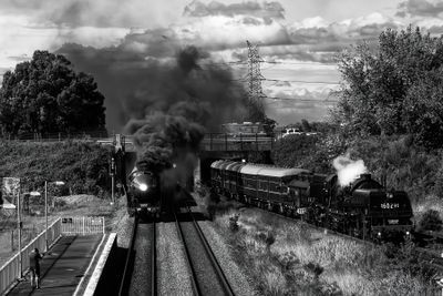 Great Train Race Maitland*Merit*