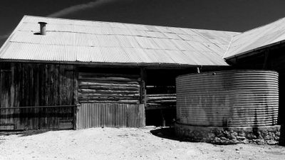 Shearing Shed