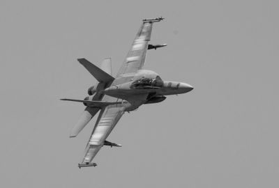 The Growler