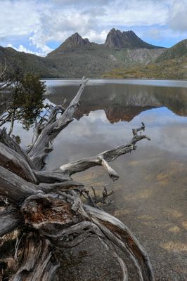 Dove Lake*Credit*