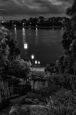 Burrawang Steps Before Sunrise*Credit*