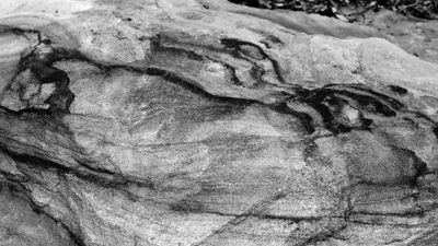 Patterns in the Rock