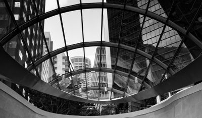Reflections Barangaroo
