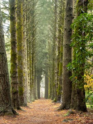 Path to the End