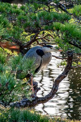 Waiting on a Catch