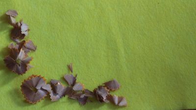 Pencil Shavings