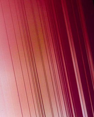 Study in Red*Merit*