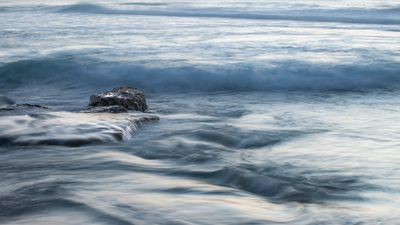 Tide