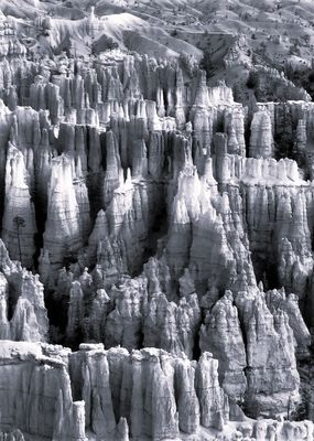 Bryce Hoodoos*Merit*