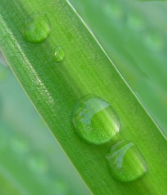 Droplets*Credit*