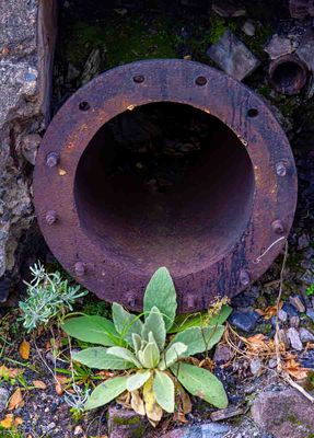 Old Drain